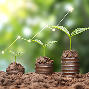 Investment Guide