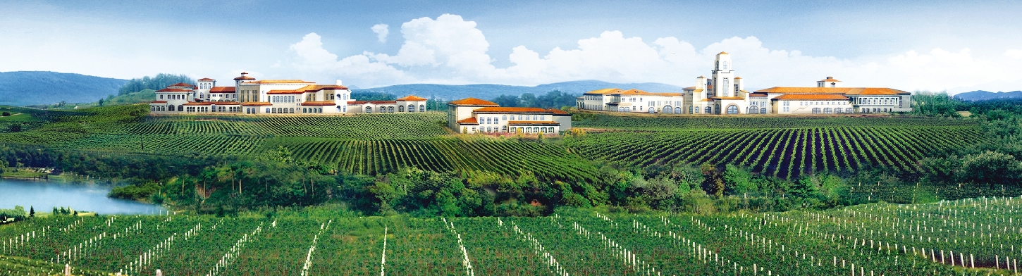 Yantai wine region shines bright in Barcelona