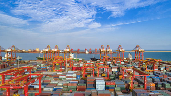 山东4_600.jpg