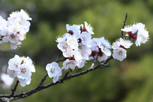 山东4-4_510-340.jpg