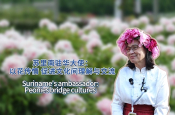 Suriname's ambassador: Peonies ‌bridge‌ cultures